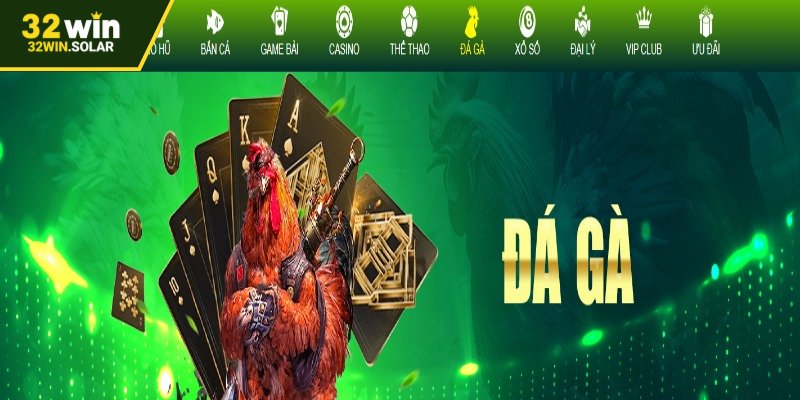 Đá gà 32WIN thu hút cược thủ ở khắp mọi nơi