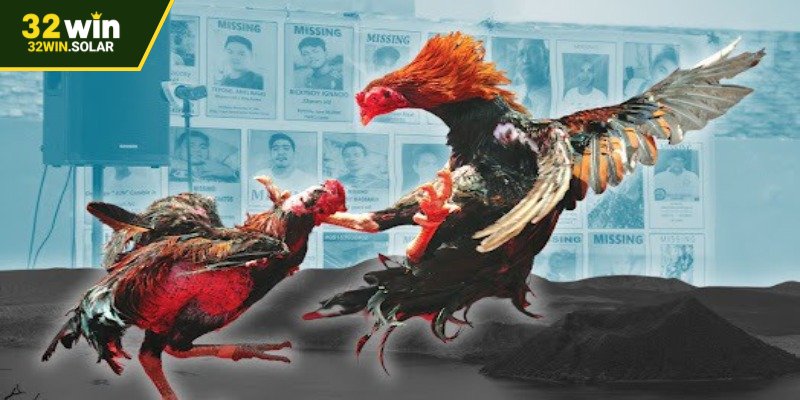 Đôi nét sơ lược về đá gà Thomo tại 32WIN