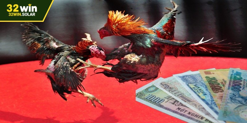 Quy trình xác định thắng thua trong mỗi trận
