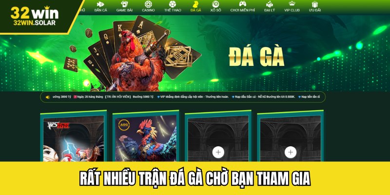 Rất nhiều trận đá gà chờ bạn tham gia