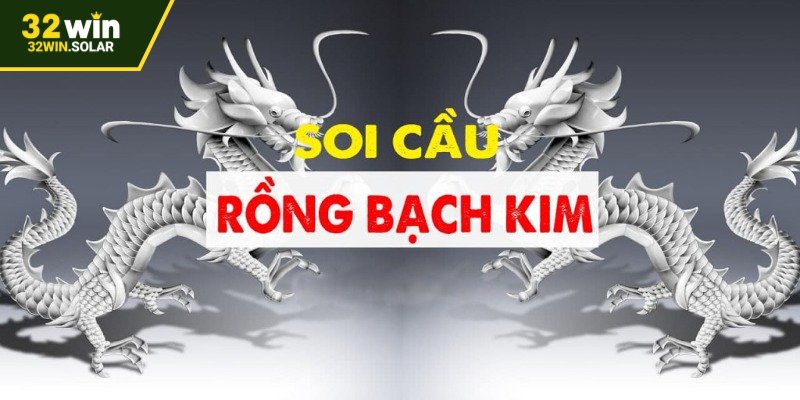 Tổng quan về soi lô cầu rồng bạch kim